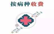 DRG付费实施方案小结