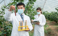 FDA肿瘤卓越中心发布2022年度报告 | 全球监管动态